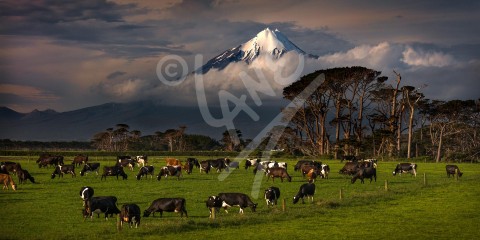NEW ZEALAND Mount Taranaki